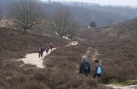 Met MAX naar de Veluwe