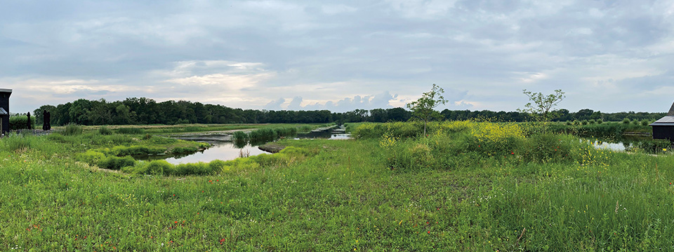 Jac. P. Thijsse en het Naardermeer MAX Magazine