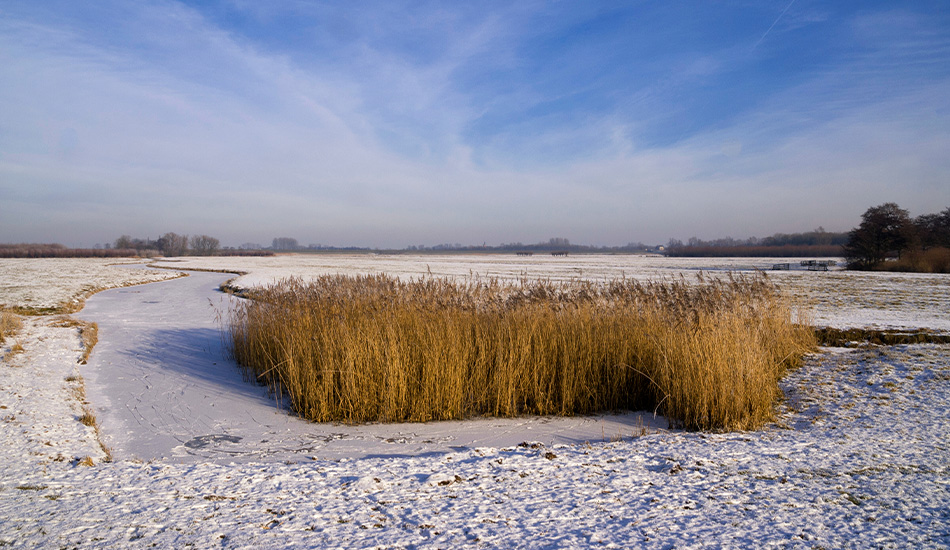 Natuurgebied Avelingen in Gorinchem