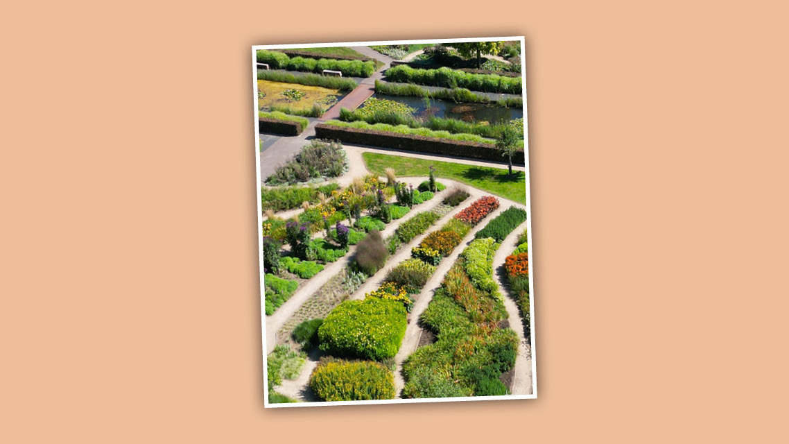 WIN! Entree voor vier personen bij Bloemenpark Appeltern t.w.v. €88