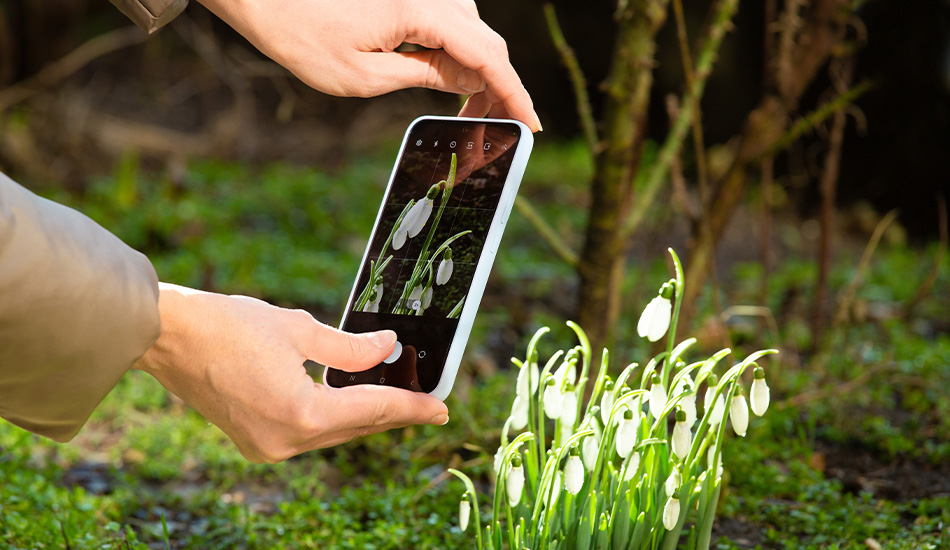 foto maken van bloem