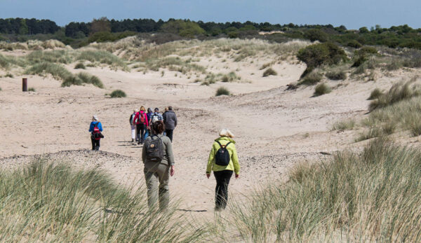 wandelroute door duinen