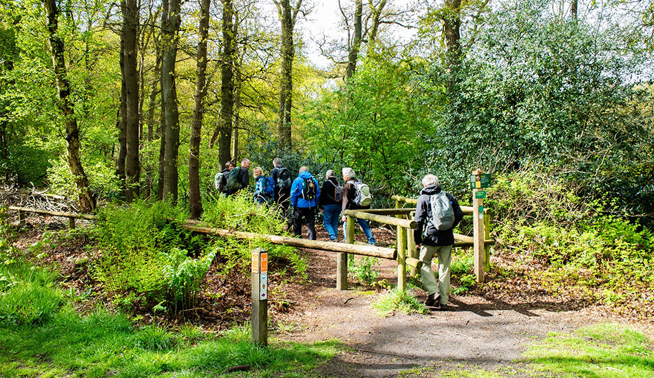 wandelroute beerze en junne