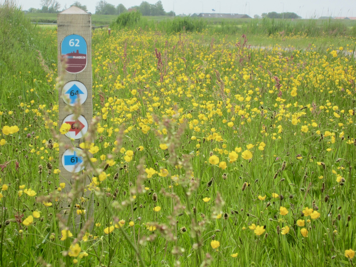 wandelpaal Texel