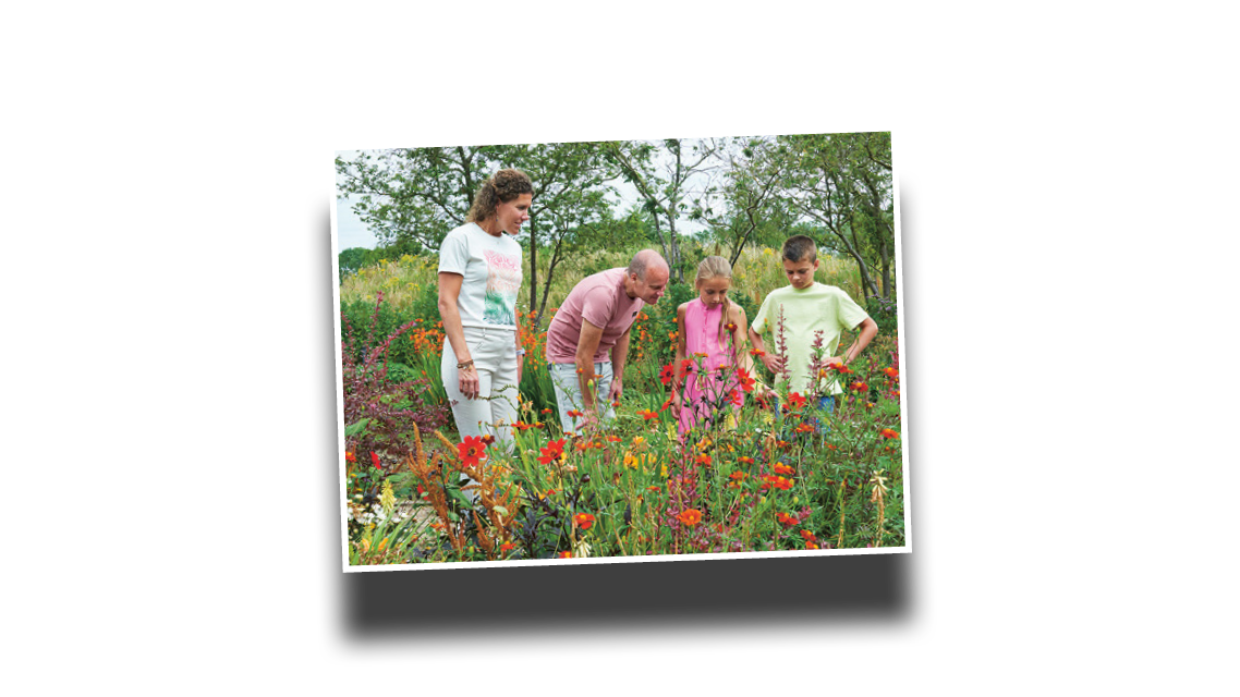 WIN! Een arrangement voor twee personen bij Bloemenpark Appeltern t.w.v. € 68,40.