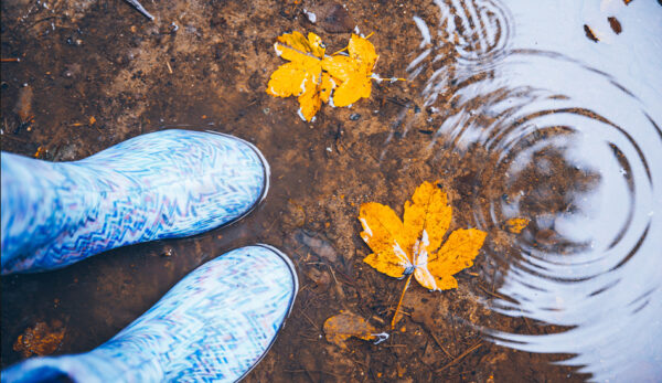 herfst 2026